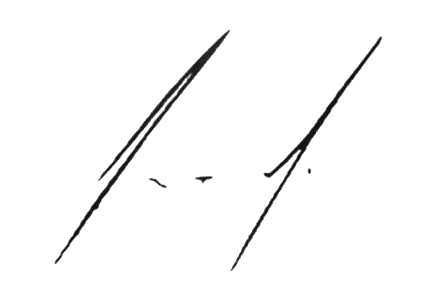 National Council for Culture and the Arts